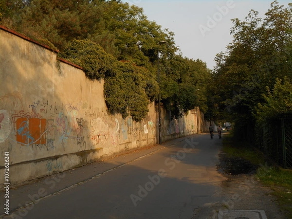 Obraz A high wall covered with vegetation