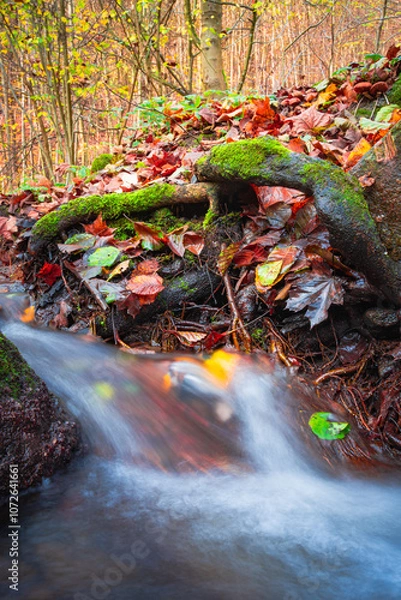Fototapeta Close-up view of a small waterfall in an autumn forest stream with blurred water