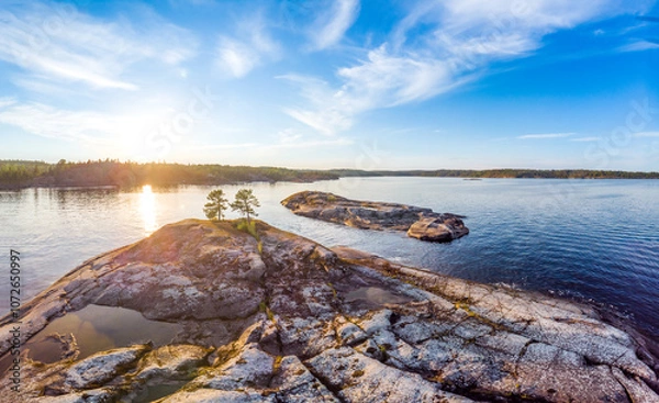 Fototapeta Aerial top view to island overgrown with sparse trees in summer sunny day. Skerries Ladoga lake consisting of 650 rocky islands and steep cliffs. National park, Karelia, Russian nature.