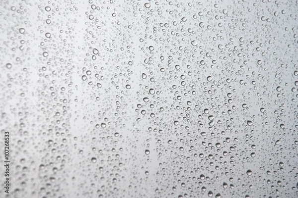 Fototapeta Drops of rain on the window