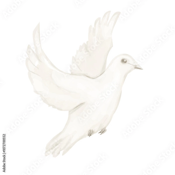 Fototapeta Dove Beige in Flight Illustration Digital Watercolor for Printing and Web