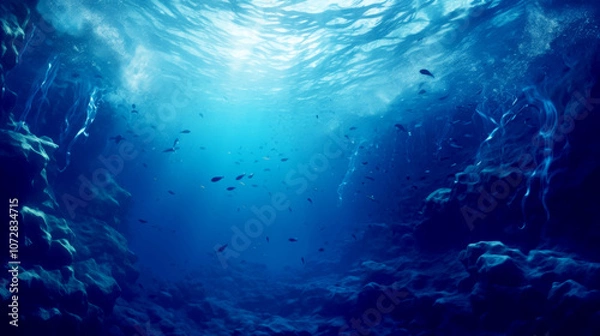 Fototapeta 海の中