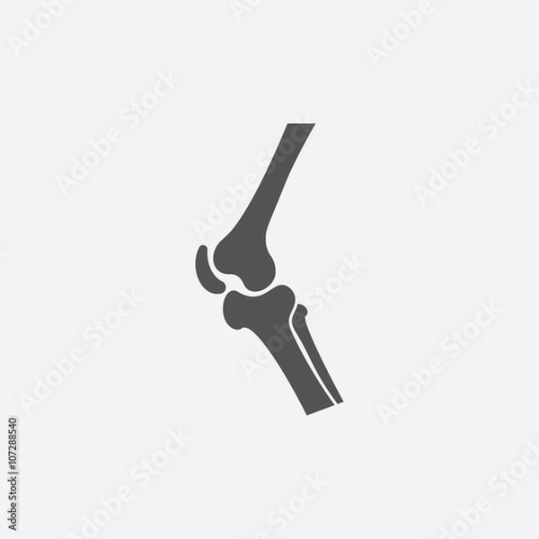 Obraz Knee icon of vector illustration for web and mobile