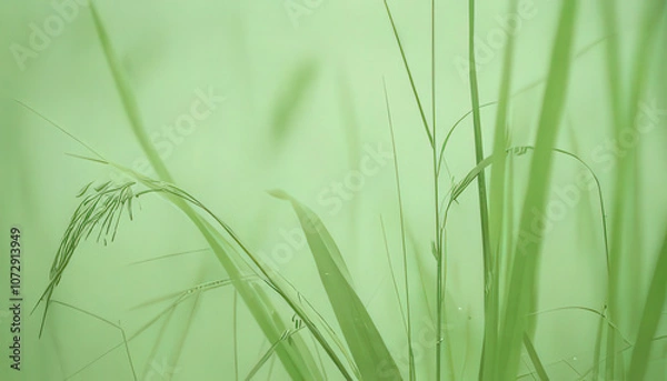 Obraz Abstract Background