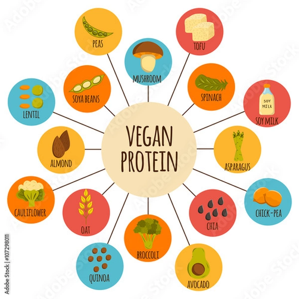 Obraz Vegan protein icons