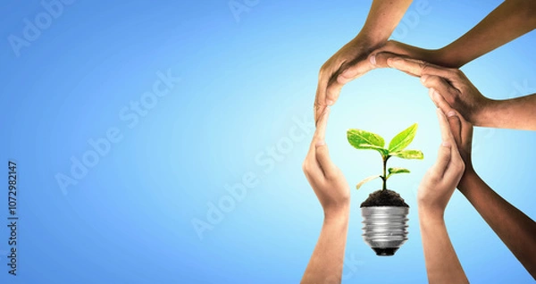 Fototapeta Bulb with seedling on soil. Earth day and earth day as group of diverse people joining to form hands connected together protecting the environment and promoting conservation and climate change issues