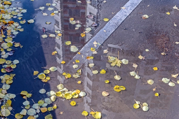 Fototapeta There is a puddle on the road and autumn leaves in it
