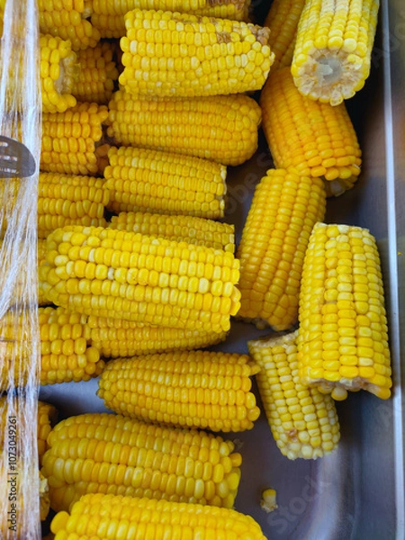 Obraz corn on the cob