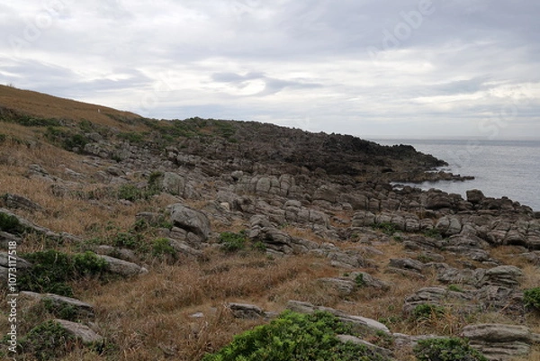 Fototapeta 海岸線から広がる岩場と草原