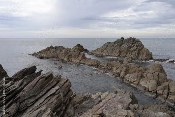 Fototapeta 海から突き出す槍岩