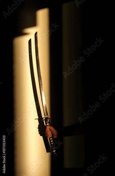Obraz Katana from the shadows