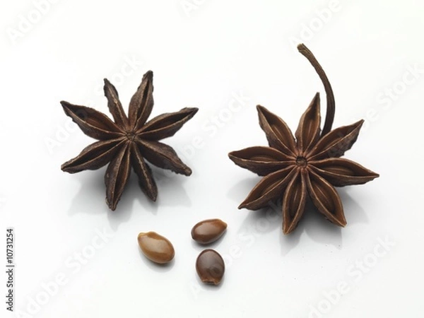 Obraz anice stellato