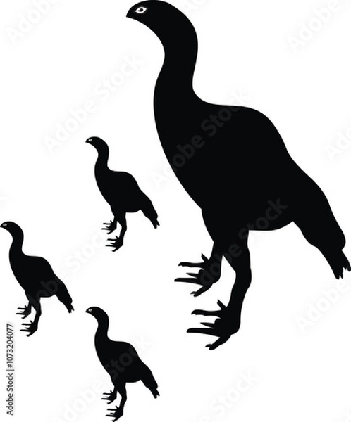 Obraz Rooster vector .