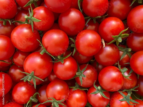 Obraz Cherry tomatoes. Food background