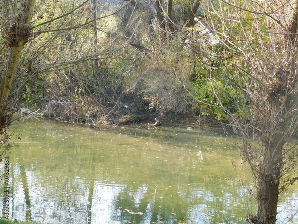 Obraz River 2