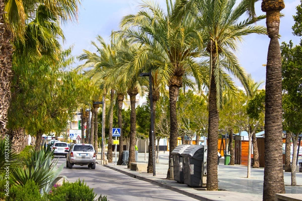 Obraz Promenade along the beach and sea with palm trees and cars