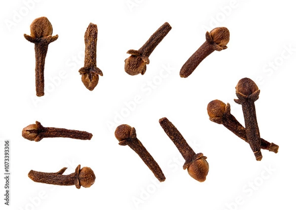 Obraz Set of whole organic clove buds cutout. Macro. Variety of dry organic cloves spice isolated on a white background. Concept of cooking and herbal medicine.