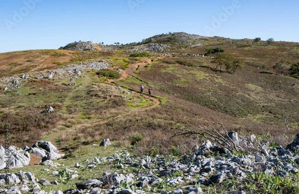 Fototapeta 霊仙山のカルスト地形