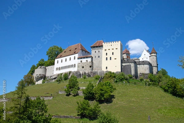 Obraz Lenzburg castle