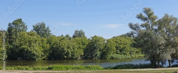 Fototapeta Landscape with trees above the river on a sunny summer day