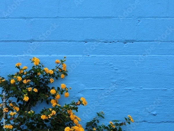 Obraz Blue painted brick wall with yellow flowers in front - landscape color photo