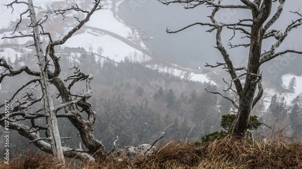 Obraz Wood and Winter