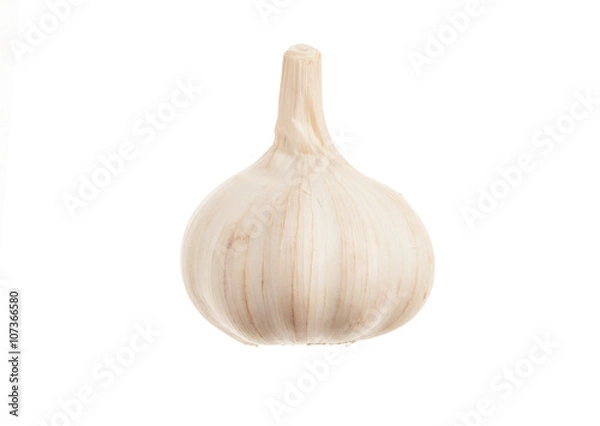 Obraz Single fresh garlic. Isolated on white background. Close-up stud