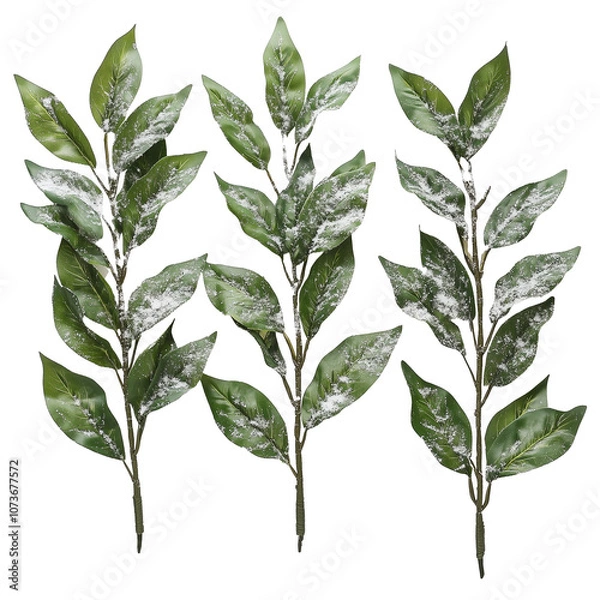 Obraz snow covered branches