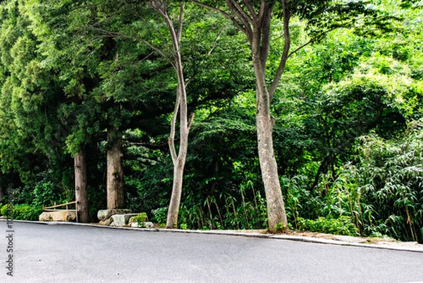 Obraz 韓国・釜山、梵魚寺を散策する