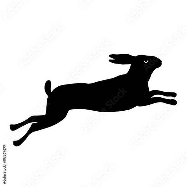 Obraz hare running black silhouette vector illustration isolated