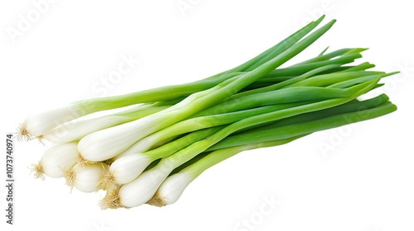 Fototapeta Fresh Spring Onions, Isolated on Transparent Background, High-Resolution Stock Image