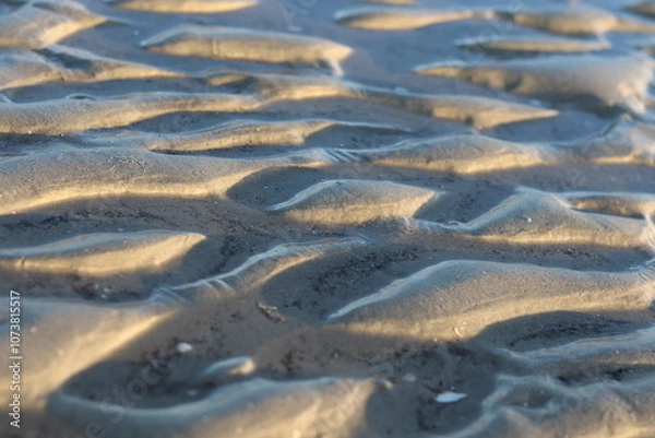 Obraz A pattern of sand and water on the beach created by the sun during sunrise