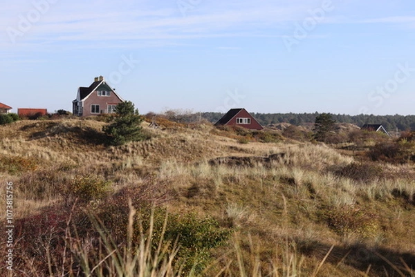 Obraz Houses in the dunes on the island of Schiermonnikoog