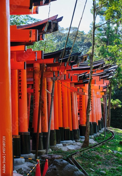 Obraz red tori gates