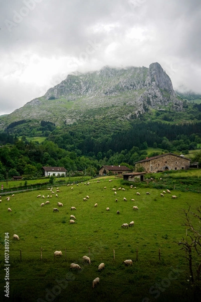 Fototapeta arrazola, basque country