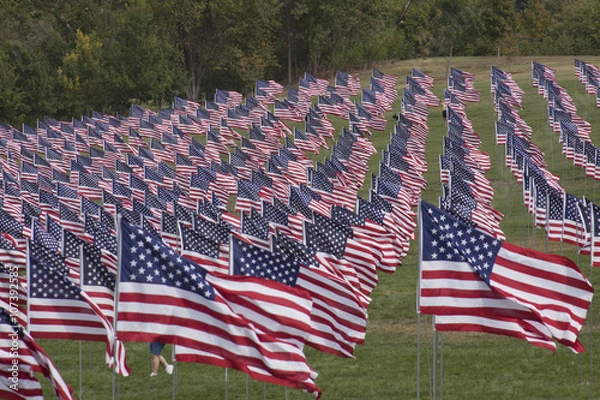 Fototapeta flag display on hill