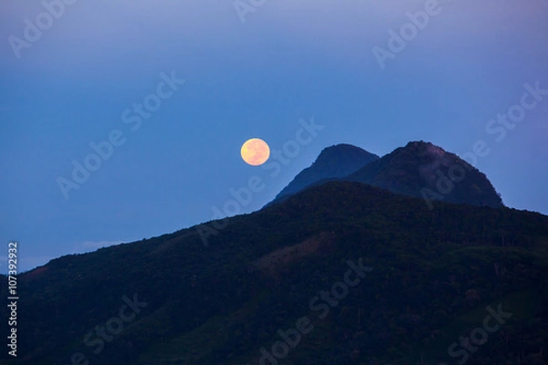 Obraz Night and full moon