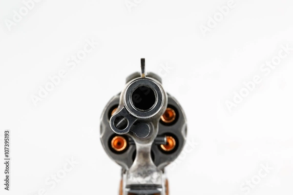 Obraz Down the Berrel