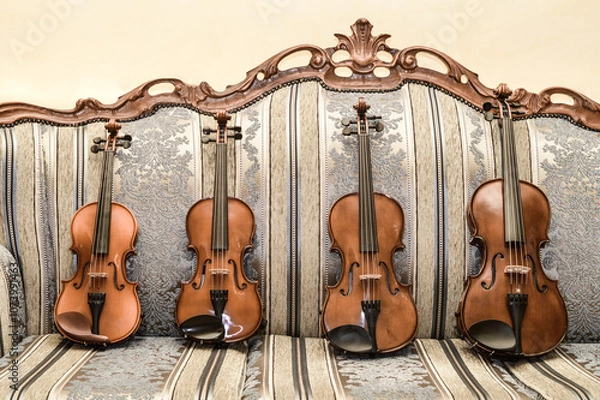 Fototapeta three different violins and a viola on an antique couch
