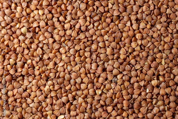 Obraz Dry Uncooked Brown Buckwheat Groats Background - Top View, Flat Lay. Raw Large Buckwheat Grains. Russian, Ukrainian and Belarusian Culture