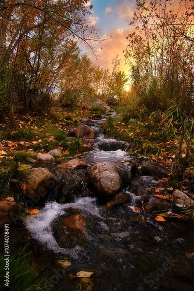 Fototapeta Stream In An Autumn Forest