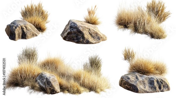 Fototapeta Collection of Rocks and Grasses From Savanna Landscapes Generative AI