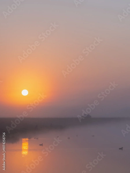 Fototapeta A Serene Sunrise Over a Misty Lake, Featuring Beautiful Reflections and Beautiful Silhouettes