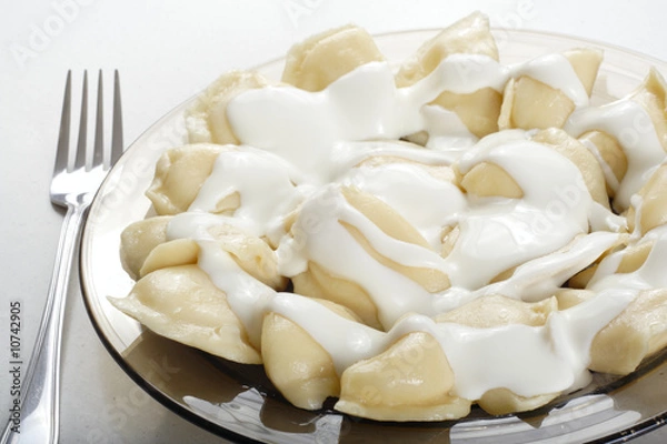 Obraz pies with the cream