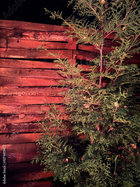 Obraz red leaves on a wall