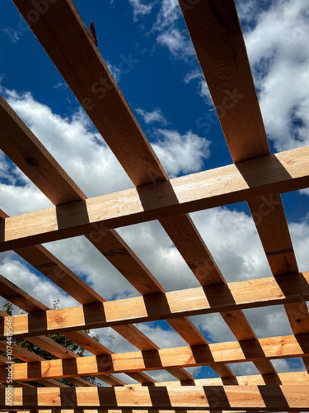 Obraz fence with sky