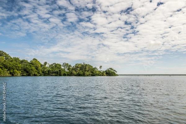 Fototapeta Beautiful view of caribbean lagoon Bacalar. Seven Color water