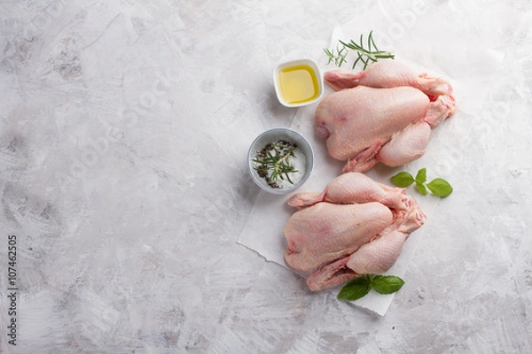 Obraz Fresh chicken with spices