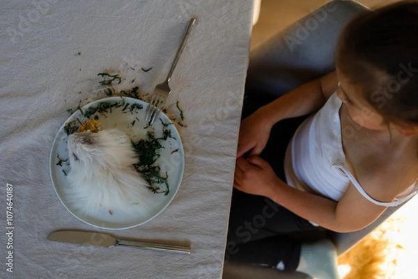 Fototapeta School ages girl sitting at the dining table and looking to the dinner plates with white hamster, grasses, fork, knife.
