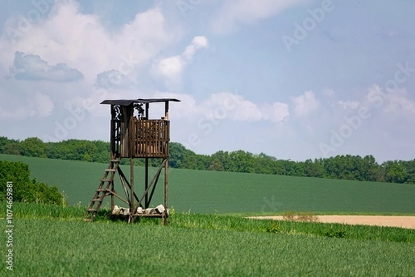 Fototapeta Deer stand for hunters on large green meadow in summer day